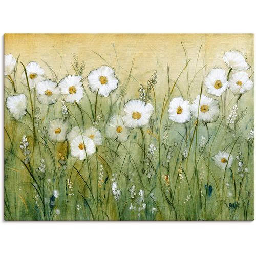 4058661359896 - Wandbild ARTLAND Gänseblümchenfrühling II Bilder Gr B H 60 cm x 45 cm Leinwandbild Blumen Querformat 1 St grün Bild Metallbild Metallbilder Bilder als Alubild Leinwandbild Wandaufkleber oder Poster in versch Größen 4058661359896 - Wandbild ARTLAND Gänseblümchenfrühling II Bilder Gr B H 60 cm x 45 cm Leinwandbild Blumen Querformat 1 St grün Bild Metallbild Metallbilder Bilder als Alubild Leinwandbild Wandaufkleber oder Poster in versch Größen