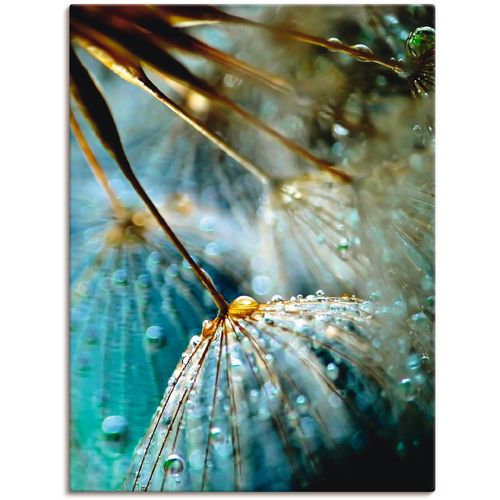 4055327764261 - Wandbild ARTLAND Pusteblume Mystische Schönheit Bilder Gr B H 60 cm x 80 cm Leinwandbild Blumen 1 St blau Bild Kunstdruck Metallbild Metallbilder Bilder als Alubild Leinwandbild Wandaufkleber oder Poster in versch Größen 4055327764261 - Wandbild ARTLAND Pusteblume Mystische Schönheit Bilder Gr B H 60 cm x 80 cm Leinwandbild Blumen 1 St blau Bild Kunstdruck Metallbild Metallbilder Bilder als Alubild Leinwandbild Wandaufkleber oder Poster in versch Größen