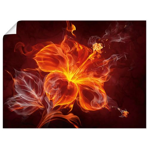 4055327780421 - Wandbild ARTLAND Feuerblume Bilder Gr B H 60 cm x 45 cm Poster Blumen Querformat 1 St rot Bild Poster Bilder als Leinwandbild Wandaufkleber oder in versch Größen 4055327780421 - Wandbild ARTLAND Feuerblume Bilder Gr B H 60 cm x 45 cm Poster Blumen Querformat 1 St rot Bild Poster Bilder als Leinwandbild Wandaufkleber oder in versch Größen