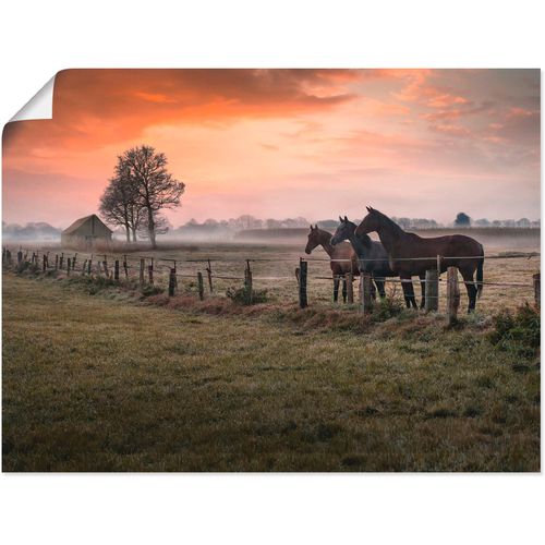 4057738608660 - Wandbild ARTLAND Edele Zaungäste Bilder Gr B H 60 cm x 45 cm Poster Haustiere 1 St orange Bild Kunstdruck Kunstdrucke Bilder als Alubild Leinwandbild Wandaufkleber oder Poster in versch Größen