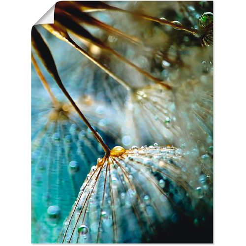 4055327764223 - Wandbild ARTLAND Pusteblume Mystische Schönheit Bilder Gr B H 45 cm x 60 cm Poster Blumen 1 St blau Bild Kunstdruck Metallbild Metallbilder Bilder als Alubild Leinwandbild Wandaufkleber oder Poster in versch Größen 4055327764223 - Wandbild ARTLAND Pusteblume Mystische Schönheit Bilder Gr B H 45 cm x 60 cm Poster Blumen 1 St blau Bild Kunstdruck Metallbild Metallbilder Bilder als Alubild Leinwandbild Wandaufkleber oder Poster in versch Größen
