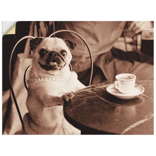 4062144453797 - Wandbild ARTLAND Kaffee Mops Bilder Gr B H 60 cm x 45 cm Wandaufkleber - Vinyl Haustiere Querformat 1 St beige (natur) Bild Poster Bilder als Leinwandbild Wandaufkleber oder in versch Größen 4062144453797 - Wandbild ARTLAND Kaffee Mops Bilder Gr B H 60 cm x 45 cm Wandaufkleber - Vinyl Haustiere Querformat 1 St beige (natur) Bild Poster Bilder als Leinwandbild Wandaufkleber oder in versch Größen