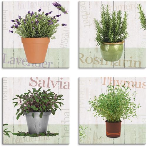 4062144353356 - Leinwandbild ARTLAND Lavendel Rosmarin Salbei Thymian Bilder Gr B H 30 cm x 30 cm Leinwandbild Pflanzen quadratisch 4 St beige (naturfarben) Bild Leinwandbild Leinwandbilder Bilder 4er Set verschiedene Größen