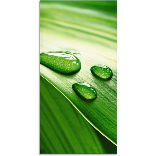 4059745099998 - Glasbild ARTLAND Nahaufnahme eines grünen Pflanzenblattes Bilder Gr B H 30 cm x 60 cm Blätter 1 St grün Glasbilder Bilder in verschiedenen Größen