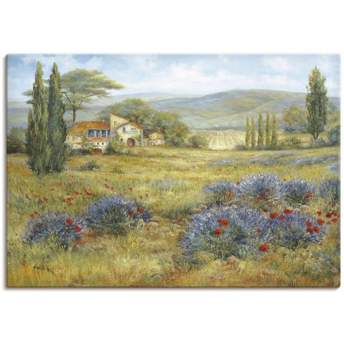4055327162265 - Wandbild ARTLAND Provence Bilder Gr B H 70 cm x 50 cm Leinwandbild Bilder von Europa Querformat 1 St grün Kunstdrucke als Alubild Leinwandbild Wandaufkleber oder Poster in versch Größen