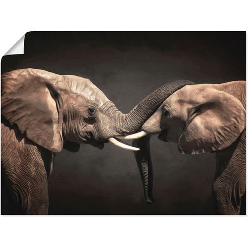4057738051985 - Wandbild ARTLAND Zwei Elefanten Bilder Gr B H 40 cm x 30 cm Poster Wildtiere 1 St schwarz Kunstdrucke Bilder als Leinwandbild Wandaufkleber oder Poster in versch Größen