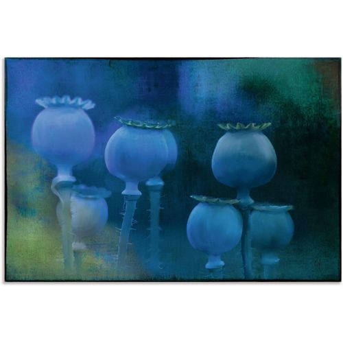 4062144733899 - Wandbild ARTLAND Blaumohn Bilder Gr B H 60 cm x 40 cm Alu-Dibond-Druck Zen Bilder Querformat 1 St blau Kunstdrucke als Alubild Leinwandbild Wandaufkleber oder Poster in versch Größen