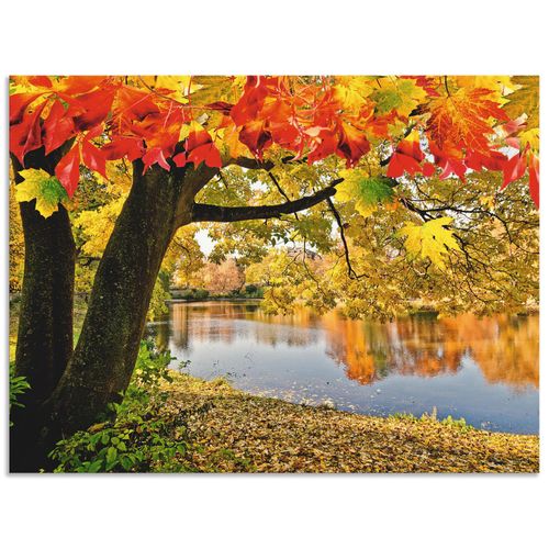 4057738379980 - Wandbild ARTLAND Herbsttag an einem ruhigen See Bilder Gr B H 60 cm x 45 cm Alu-Dibond-Druck Gewässer Querformat 1 St grün Bild Leinwandbild Kunstdrucke Bilder als Alubild Leinwandbild Wandaufkleber oder Poster in versch Größen 4057738379980 - Wandbild ARTLAND Herbsttag an einem ruhigen See Bilder Gr B H 60 cm x 45 cm Alu-Dibond-Druck Gewässer Querformat 1 St grün Bild Leinwandbild Kunstdrucke Bilder als Alubild Leinwandbild Wandaufkleber oder Poster in versch Größen