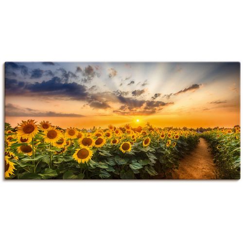 4062144760871 - Wandbild ARTLAND Sonnenblumenfeld bei Sonnenuntergang Bilder Gr B H 60 cm x 30 cm Leinwandbild Blumenbilder Querformat 1 St gelb Kunstdrucke als Alubild Leinwandbild Wandaufkleber oder Poster in versch Größen