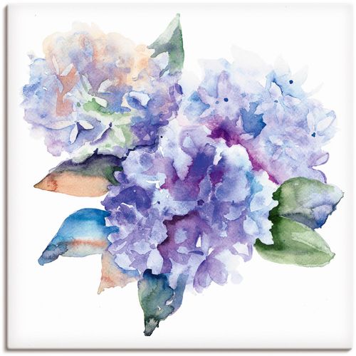 4059745775984 - Wandbild ARTLAND Hortensien Bilder Gr B H 30 cm x 30 cm Leinwandbild Blumen 1 St blau Bild Poster Bilder als Alubild Leinwandbild Wandaufkleber oder in versch Größen