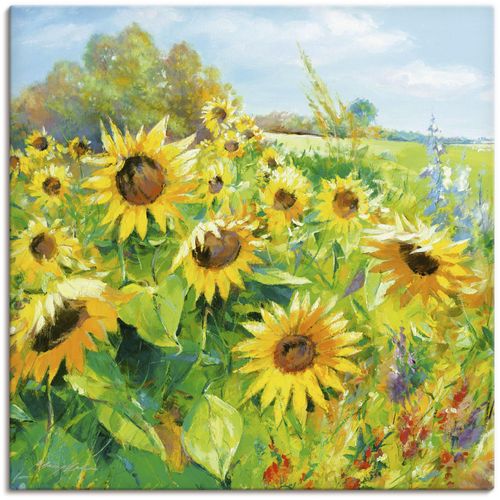 4055327164306 - Wandbild ARTLAND Sommerwiese mit Sonnenblumen Bilder Gr B H 50 cm x 50 cm Leinwandbild Blumenwiese 1 St gelb Bild Poster Bilder als Alubild Leinwandbild Wandaufkleber oder in versch Größen