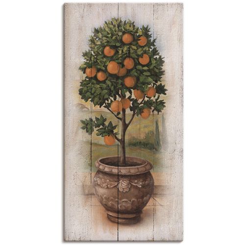 4062144550991 - Wandbild ARTLAND Orangenbaum mit Holzoptik Bilder Gr B H 50 cm x 100 cm Leinwandbild Bäume quadratisch 1 St grün Bild Leinwandbild Kunstdrucke Bilder als Leinwandbild Wandaufkleber oder Poster in versch Größen 4062144550991 - Wandbild ARTLAND Orangenbaum mit Holzoptik Bilder Gr B H 50 cm x 100 cm Leinwandbild Bäume quadratisch 1 St grün Bild Leinwandbild Kunstdrucke Bilder als Leinwandbild Wandaufkleber oder Poster in versch Größen