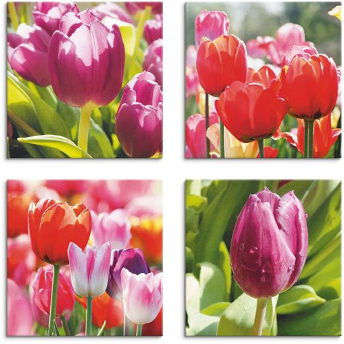 4062144353509 - Leinwandbild ARTLAND Frühling und Tulpen Bilder Gr B H 30 cm x 30 cm Leinwandbild Blumen quadratisch 4 St pink Bild Leinwandbild Leinwandbilder Bilder 4er Set verschiedene Größen 4062144353509 - Leinwandbild ARTLAND Frühling und Tulpen Bilder Gr B H 30 cm x 30 cm Leinwandbild Blumen quadratisch 4 St pink Bild Leinwandbild Leinwandbilder Bilder 4er Set verschiedene Größen