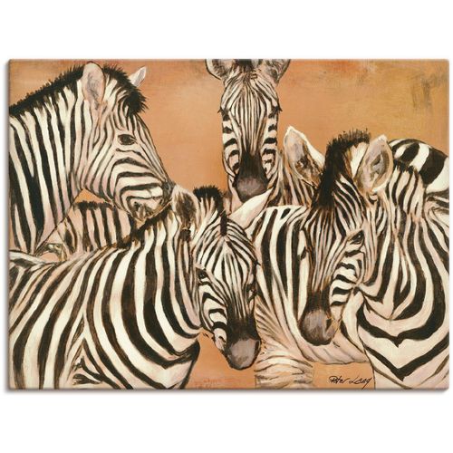 4055327150446 - Wandbild ARTLAND Zebras Bilder Gr B H 80 cm x 60 cm Leinwandbild Wildtiere 1 St orange Bild Metallbild Metallbilder Bilder als Alubild Leinwandbild Wandaufkleber oder Poster in versch Größen
