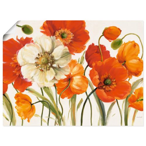 4055327749138 - Wandbild ARTLAND Mohnblumen I Bilder Gr B H 80 cm x 60 cm Poster Blumen Querformat 1 St orange Bild Poster Bilder als Leinwandbild Wandaufkleber oder in versch Größen