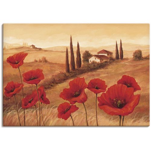 4055327162449 - Wandbild ARTLAND Mohnblumen in der Toskana Bilder Gr B H 70 cm x 50 cm Leinwandbild Europa 1 St braun Bild Poster Bilder als Alubild Leinwandbild Wandaufkleber oder in versch Größen