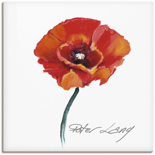 4055327140331 - Wandbild ARTLAND Blume_weiß III Bilder Gr B H 50 cm x 50 cm Leinwandbild Blumen 1 St rot Bild Poster Bilder als Alubild Leinwandbild Wandaufkleber oder in versch Größen 4055327140331 - Wandbild ARTLAND Blume_weiß III Bilder Gr B H 50 cm x 50 cm Leinwandbild Blumen 1 St rot Bild Poster Bilder als Alubild Leinwandbild Wandaufkleber oder in versch Größen