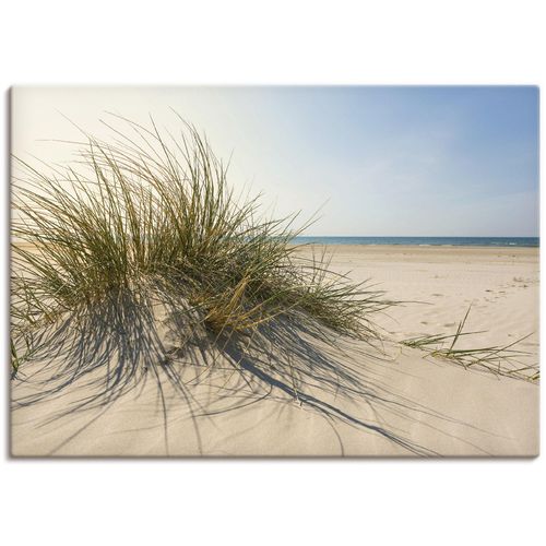 4059745775175 - Wandbild ARTLAND Strandgras Bilder Gr B H 100 cm x 70 cm Leinwandbild Küste 1 St beige (naturfarben) Bild Leinwandbild Kunstdrucke Bilder als Alubild Leinwandbild Wandaufkleber oder Poster in versch Größen 4059745775175 - Wandbild ARTLAND Strandgras Bilder Gr B H 100 cm x 70 cm Leinwandbild Küste 1 St beige (naturfarben) Bild Leinwandbild Kunstdrucke Bilder als Alubild Leinwandbild Wandaufkleber oder Poster in versch Größen