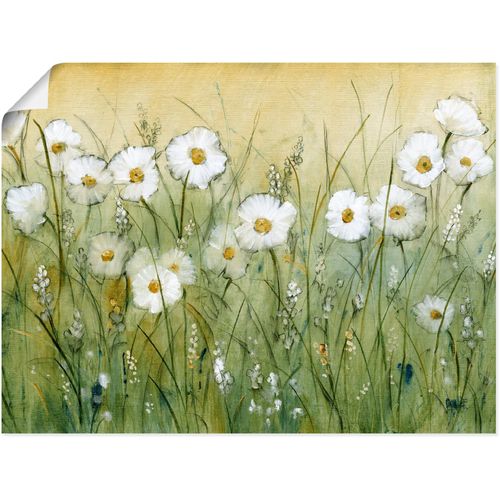 4058661359926 - Wandbild ARTLAND Gänseblümchenfrühling II Bilder Gr B H 40 cm x 30 cm Poster Blumen Querformat 1 St grün Bild Metallbild Metallbilder Bilder als Alubild Leinwandbild Wandaufkleber oder Poster in versch Größen 4058661359926 - Wandbild ARTLAND Gänseblümchenfrühling II Bilder Gr B H 40 cm x 30 cm Poster Blumen Querformat 1 St grün Bild Metallbild Metallbilder Bilder als Alubild Leinwandbild Wandaufkleber oder Poster in versch Größen