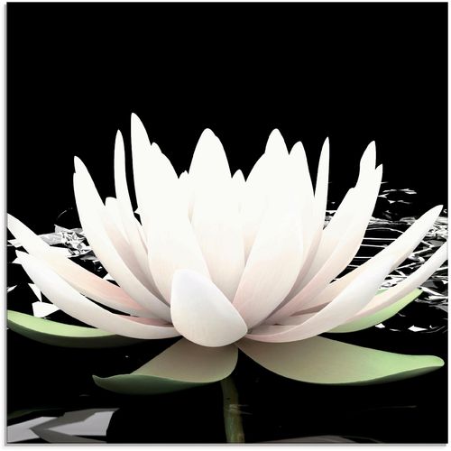 4058661625250 - Glasbild ARTLAND Zwei Lotusblumen auf dem Wasser Bilder Gr B H 40 cm x 40 cm Blumen 1 St schwarz Glasbilder Bilder in verschiedenen Größen