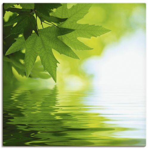 4055327233415 - Wandbild ARTLAND Grüne Blätter reflektieren im Wasser Bilder Gr B H 40 cm x 40 cm Leinwandbild Blätter quadratisch 1 St grün Bild Poster Bilder als Alubild Leinwandbild Wandaufkleber oder in versch Größen
