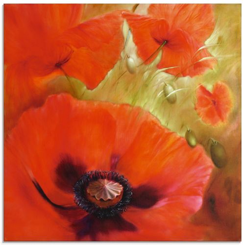 4059745955966 - Glasbild ARTLAND Vier mal Mohn Bilder Gr B H 40 cm x 40 cm Glasbild Blumen quadratisch 1 St rot Bild Glasbild Glasbilder Bilder in verschiedenen Größen 4059745955966 - Glasbild ARTLAND Vier mal Mohn Bilder Gr B H 40 cm x 40 cm Glasbild Blumen quadratisch 1 St rot Bild Glasbild Glasbilder Bilder in verschiedenen Größen