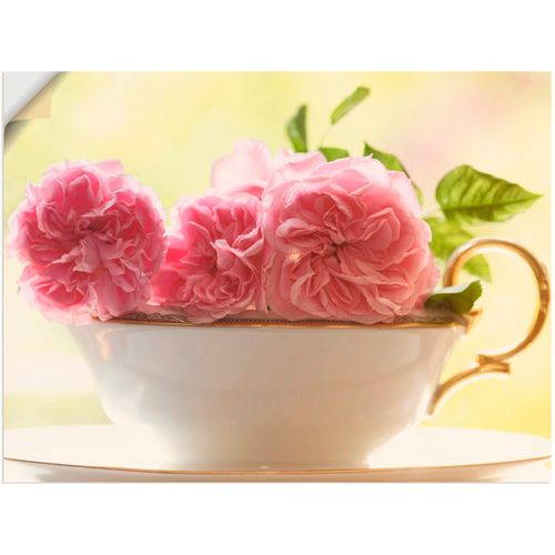 4062144301319 - Wandbild ARTLAND Vintage Rosen Bilder Gr B H 80 cm x 60 cm Wandaufkleber - Vinyl Blumen 1 St pink Bild Kunstdruck Leinwandbild Kunstdrucke Bilder als Leinwandbild Wandaufkleber oder Poster in versch Größen