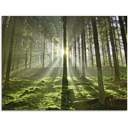 4055327027304 - Glasbild ARTLAND Wald im Gegenlicht Bilder Gr B H 80 cm x 60 cm Glasbild Wald 1 St grün Glasbilder in verschiedenen Größen 4055327027304 - Glasbild ARTLAND Wald im Gegenlicht Bilder Gr B H 80 cm x 60 cm Glasbild Wald 1 St grün Glasbilder in verschiedenen Größen
