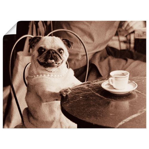 4055327749367 - Wandbild ARTLAND Kaffee Mops Bilder Gr B H 60 cm x 45 cm Poster Haustiere Querformat 1 St beige (natur) Bild Poster Bilder als Leinwandbild Wandaufkleber oder in versch Größen