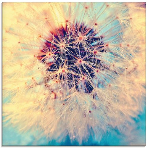 4058661286321 - Glasbild ARTLAND Pusteblume ganz nah Bilder Gr B H 30 cm x 30 cm Glasbild Blumen quadratisch 1 St blau Bild Glasbild Glasbilder Bilder in verschiedenen Größen 4058661286321 - Glasbild ARTLAND Pusteblume ganz nah Bilder Gr B H 30 cm x 30 cm Glasbild Blumen quadratisch 1 St blau Bild Glasbild Glasbilder Bilder in verschiedenen Größen