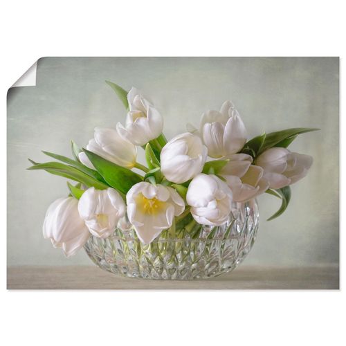 4059745054331 - Wandbild ARTLAND Weiße Tulpen Bilder Gr B H 90 cm x 60 cm Poster Blumen Querformat 1 St grün Bild Poster Bilder als Alubild Leinwandbild Wandaufkleber oder in versch Größen