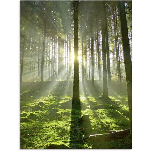 4058661597458 - Glasbild ARTLAND Wald im Gegenlicht Bilder Gr B H 60 cm x 80 cm Glasbild Wald 1 St grün Glasbilder in verschiedenen Größen