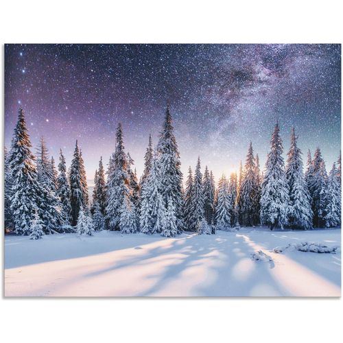 4062144598696 - Wandbild ARTLAND Tannenwald im Schnee vorm Sternenhimmel Bilder Gr B H 40 cm x 30 cm Alu-Dibond-Druck Berge & Alpenbilder Querformat 1 St blau Kunstdrucke als Alubild Leinwandbild Wandaufkleber oder Poster in versch Größen 4062144598696 - Wandbild ARTLAND Tannenwald im Schnee vorm Sternenhimmel Bilder Gr B H 40 cm x 30 cm Alu-Dibond-Druck Berge & Alpenbilder Querformat 1 St blau Kunstdrucke als Alubild Leinwandbild Wandaufkleber oder Poster in versch Größen
