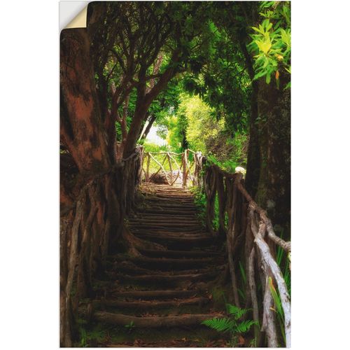 4062144162071 - Wandbild ARTLAND Wanderweg Bilder Gr B H 40 cm x 60 cm Wandaufkleber - Vinyl Wald 1 St grün Bild Kunstdruck Kunstdrucke Bilder als Alubild Leinwandbild Wandaufkleber oder Poster in versch Größen
