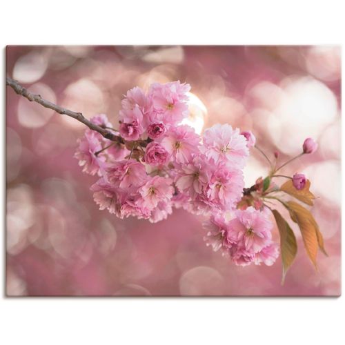 4055327839259 - Wandbild ARTLAND Japanische Kirschblüte in Love III Bilder Gr B H 120 cm x 90 cm Leinwandbild Blumen 1 St pink Bild Kunstdruck Poster Bilder als Leinwandbild Wandaufkleber oder in versch Größen 4055327839259 - Wandbild ARTLAND Japanische Kirschblüte in Love III Bilder Gr B H 120 cm x 90 cm Leinwandbild Blumen 1 St pink Bild Kunstdruck Poster Bilder als Leinwandbild Wandaufkleber oder in versch Größen