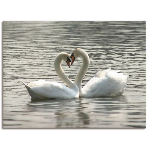 4055327238397 - Wandbild ARTLAND Liebesspiel von Schwänen Bilder Gr B H 60 cm x 45 cm Leinwandbild Vögel Querformat 1 St grau Bild Metallbild Metallbilder Bilder als Alubild Leinwandbild Wandaufkleber oder Poster in versch Größen 4055327238397 - Wandbild ARTLAND Liebesspiel von Schwänen Bilder Gr B H 60 cm x 45 cm Leinwandbild Vögel Querformat 1 St grau Bild Metallbild Metallbilder Bilder als Alubild Leinwandbild Wandaufkleber oder Poster in versch Größen