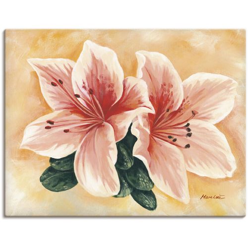 4055327149839 - Wandbild ARTLAND lachsfarbene Lilien Bilder Gr B H 80 cm x 60 cm Leinwandbild Blumen 1 St beige (naturfarben) Bild Poster Bilder als Alubild Leinwandbild Wandaufkleber oder in versch Größen