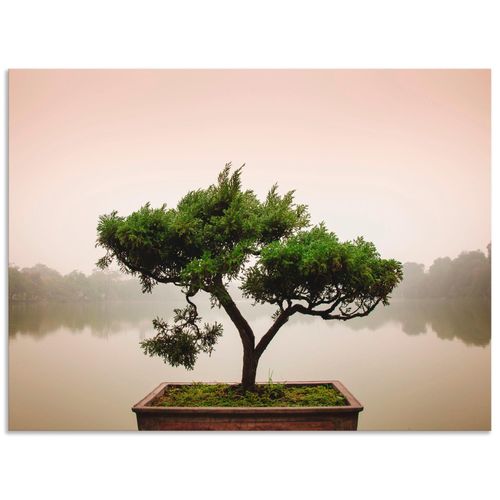 4058661472854 - Wandbild ARTLAND Chinesischer Bonsaibaum Bilder Gr B H 120 cm x 90 cm Wandaufkleber - Vinyl Bäume Querformat 1 St grün Bild Leinwandbild Kunstdrucke Bilder als Alubild Leinwandbild Wandaufkleber oder Poster in versch Größen
