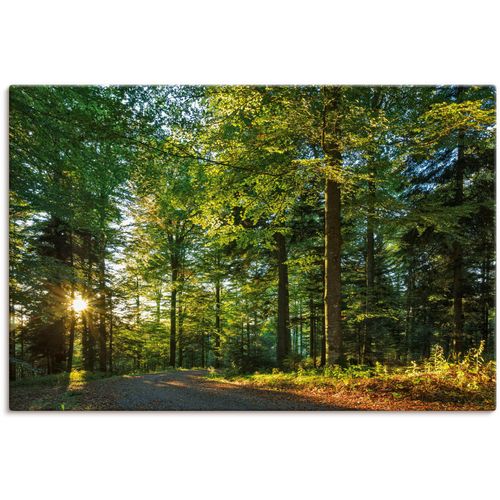 4062144633809 - Wandbild ARTLAND Waldweg im Romantischen Schwarzwald Bilder Gr B H 60 cm x 40 cm Leinwandbild Waldbilder Querformat 1 St grün Kunstdrucke als Alubild Leinwandbild Wandaufkleber oder Poster in versch Größen 4062144633809 - Wandbild ARTLAND Waldweg im Romantischen Schwarzwald Bilder Gr B H 60 cm x 40 cm Leinwandbild Waldbilder Querformat 1 St grün Kunstdrucke als Alubild Leinwandbild Wandaufkleber oder Poster in versch Größen