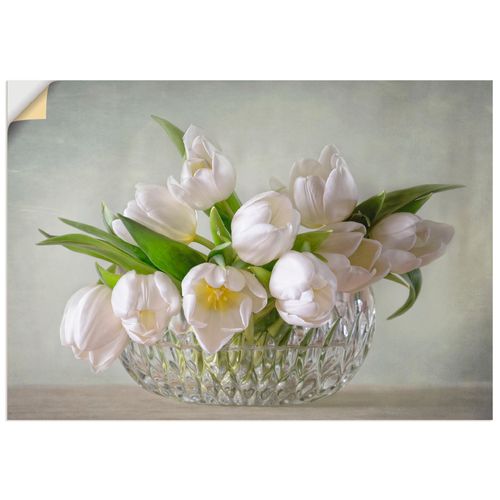 4058661549730 - Wandbild ARTLAND Weiße Tulpen Bilder Gr B H 60 cm x 40 cm Wandaufkleber - Vinyl Blumen Querformat 1 St grün Bild Poster Bilder als Alubild Leinwandbild Wandaufkleber oder in versch Größen