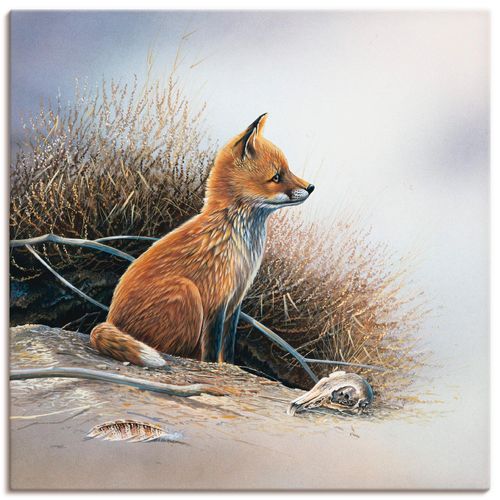 4055327450515 - Wandbild ARTLAND Kleiner Fuchs Bilder Gr B H 30 cm x 30 cm Leinwandbild Wildtiere quadratisch 1 St braun Bild Poster Bilder als Leinwandbild Wandaufkleber oder in versch Größen