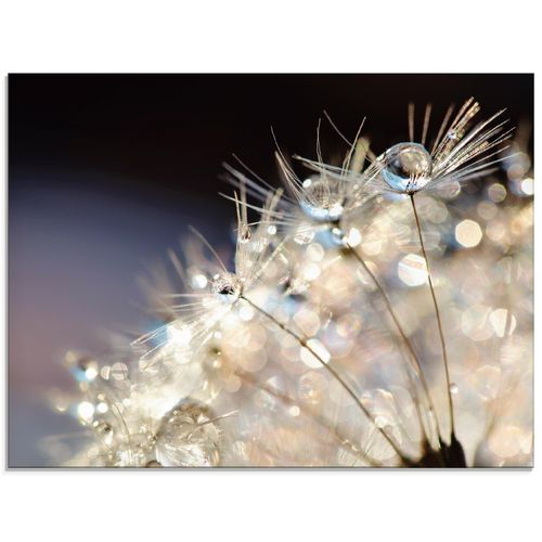 4058661086983 - Glasbild ARTLAND Pusteblume Fantasie Bilder Gr B H 80 cm x 60 cm Glasbild Blumen Querformat 1 St bunt Bild Glasbild Glasbilder Bilder in verschiedenen Größen 4058661086983 - Glasbild ARTLAND Pusteblume Fantasie Bilder Gr B H 80 cm x 60 cm Glasbild Blumen Querformat 1 St bunt Bild Glasbild Glasbilder Bilder in verschiedenen Größen