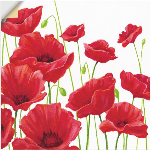 4057738182641 - Wandbild ARTLAND Rote Mohnblumen I Bilder Gr B H 50 cm x 50 cm Wandaufkleber - Vinyl Blumen 1 St rot Bild Leinwandbild Kunstdrucke Bilder als Alubild Leinwandbild Wandaufkleber oder Poster in versch Größen