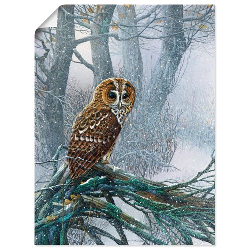 4055327601689 - Wandbild ARTLAND Eule in verschneitem Wald Bilder Gr B H 45 cm x 60 cm Poster Vögel Hochformat 1 St braun Bild Leinwandbild Kunstdrucke Bilder als Leinwandbild Wandaufkleber oder Poster in versch Größen