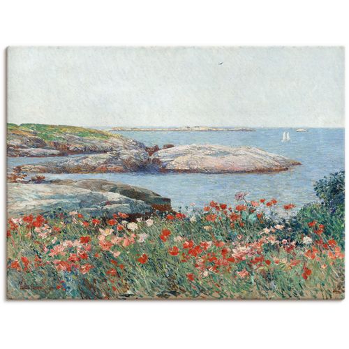 4062144796801 - Wandbild ARTLAND Poppy Isles of Shoals 1891 Bilder Gr B H 40 cm x 30 cm Leinwandbild Meer Bilder Querformat 1 St grün Kunstdrucke als Alubild Leinwandbild Wandaufkleber oder Poster in versch Größen