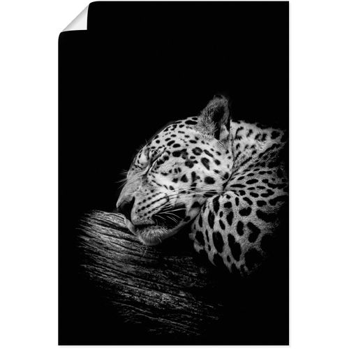 4062144626528 - Wandbild ARTLAND Der schlafende Jaguar Bilder Gr B H 40 cm x 60 cm Poster Wildtiere Hochformat 1 St schwarz Kunstdrucke als Alubild Leinwandbild Wandaufkleber oder Poster in versch Größen 4062144626528 - Wandbild ARTLAND Der schlafende Jaguar Bilder Gr B H 40 cm x 60 cm Poster Wildtiere Hochformat 1 St schwarz Kunstdrucke als Alubild Leinwandbild Wandaufkleber oder Poster in versch Größen