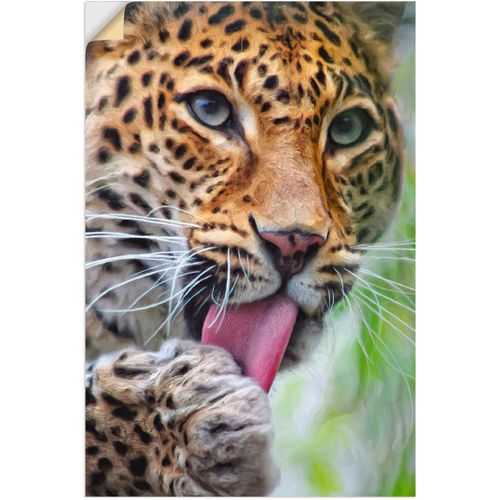 4059745284868 - Wandbild ARTLAND Leopard Bilder Gr B H 40 cm x 60 cm Wandaufkleber - Vinyl Wildtiere 1 St bunt Kunstdrucke Bilder als Alubild Leinwandbild Wandaufkleber oder Poster in versch Größen