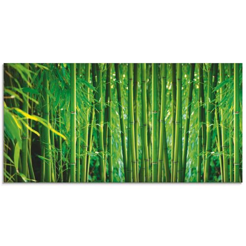 4055327428095 - Glasbild ARTLAND Bambus Bilder Gr B H 60 cm x 30 cm Glasbild Gräser Querformat 1 St grün Bild Glasbild Glasbilder Bilder in verschiedenen Größen 4055327428095 - Glasbild ARTLAND Bambus Bilder Gr B H 60 cm x 30 cm Glasbild Gräser Querformat 1 St grün Bild Glasbild Glasbilder Bilder in verschiedenen Größen