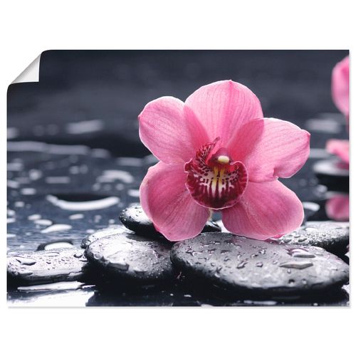 4055327636995 - Wandbild ARTLAND Stillleben mit Kiesel und einer Orchidee Bilder Gr B H 80 cm x 60 cm Poster Blumen Querformat 1 St pink Bild Poster Bilder als Alubild Leinwandbild Wandaufkleber oder in versch Größen