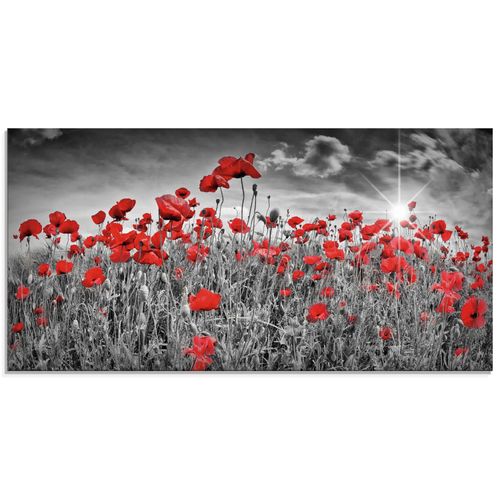 4058661668431 - Glasbild ARTLAND Idyllisches Mohnblumenfeld mit Sonne Bilder Gr B H 100 cm x 50 cm Glasbild Blumen Querformat 1 St schwarz Bild Glasbild Glasbilder Bilder in verschiedenen Größen